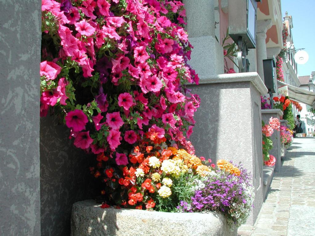 Neufelden Hotel Sammer מראה חיצוני תמונה