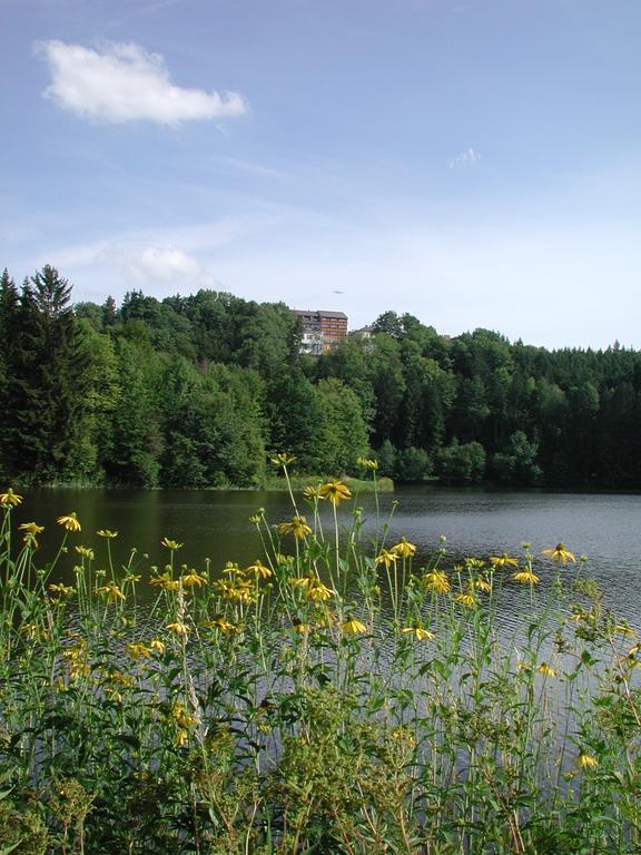 Neufelden Hotel Sammer מראה חיצוני תמונה